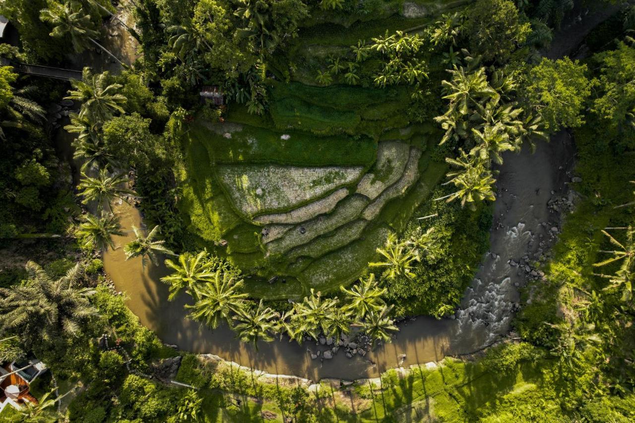 Villa The Ridge Bali à Ubud Extérieur photo